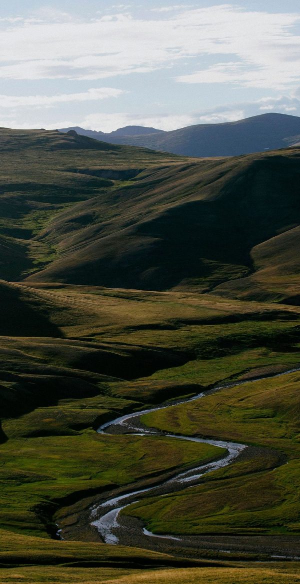 Administration de biens