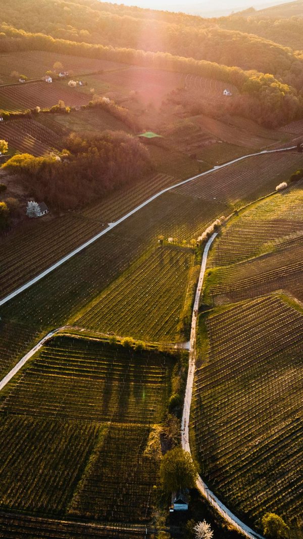 Administration de biens