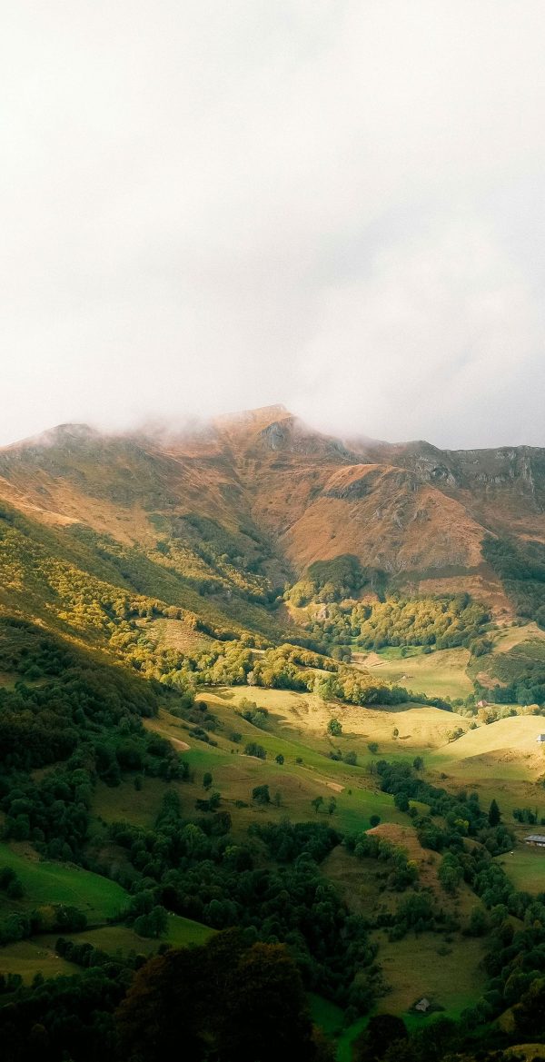 Agricole, Foncier et Forestier