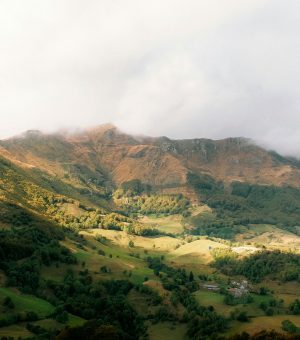 Agricole, Foncier et Forestier