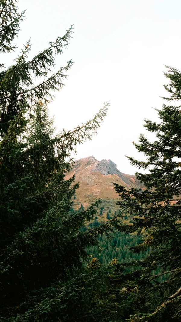 Présence internationale