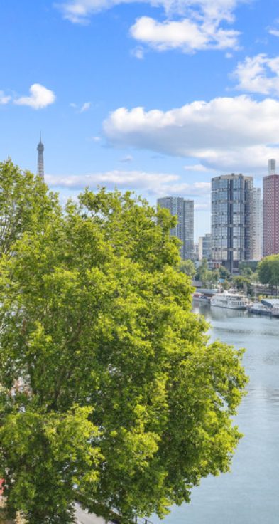 Appartement 6 pièces – 154m² – Vue Tour Eiffel et Seine -Balcon